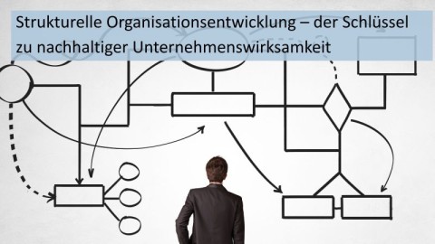 Strukturelle Organisationsentwicklung – der Schlüssel zu nachhaltiger Unternehmenswirksamkeit